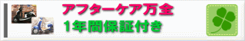 1年間保証付き